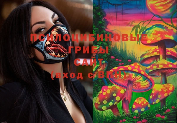 стаф Покров