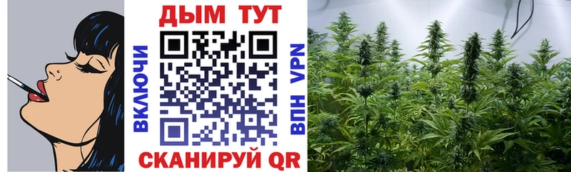 купить закладку  Фокино  Каннабис Amnesia 